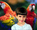 parrot.jpg (67748 bytes)